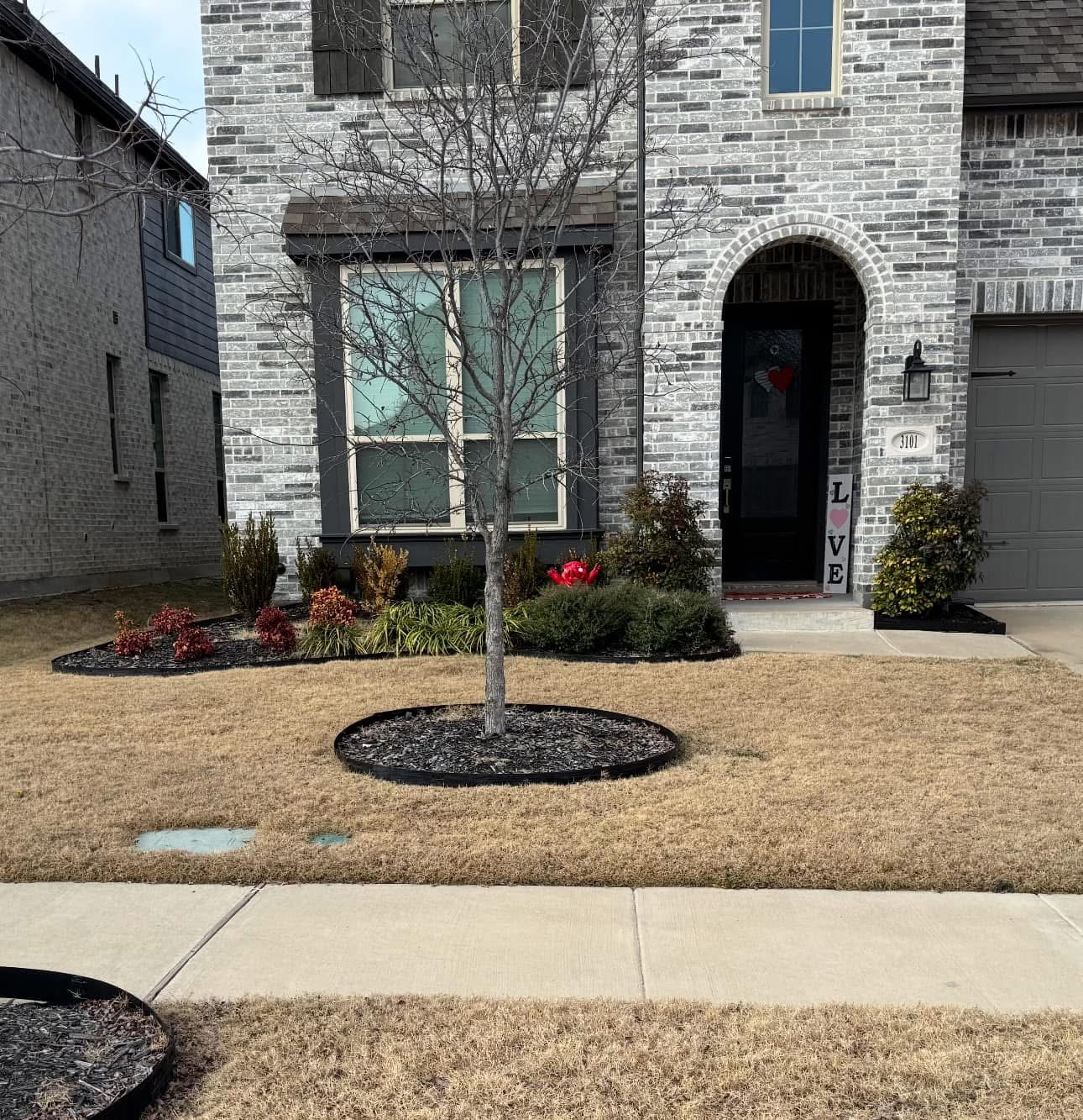 Front yard enhancement with defined landscape beds, fresh mulch, and a clean tree ring.