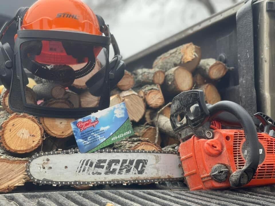 Professional tree-trimming and cutting equipment.