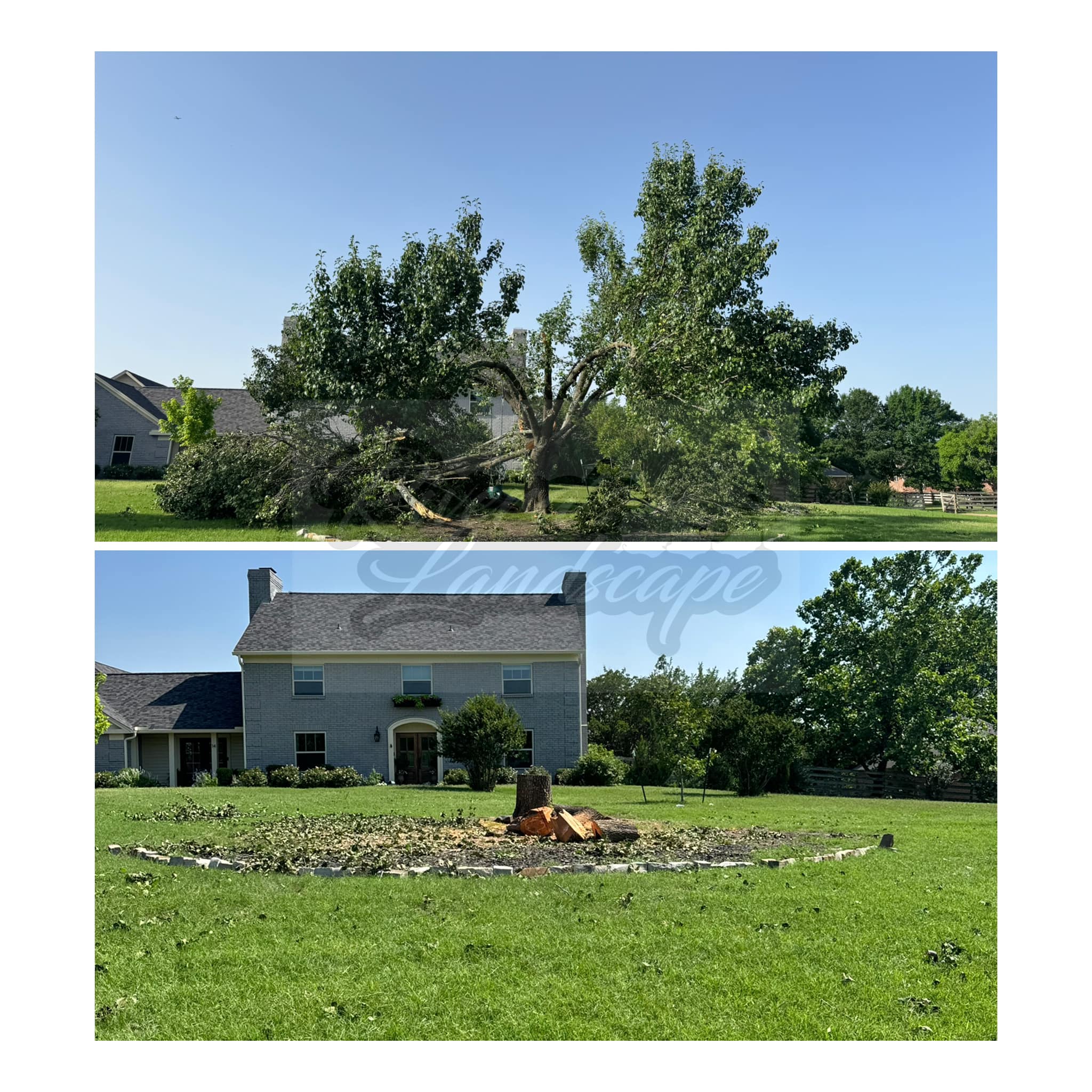 Expert tree trimming to enhance health and safety in McKinney.